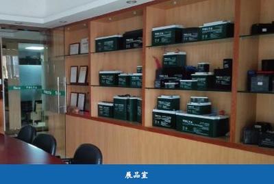 腳踏實(shí)地 志存高遠(yuǎn)——訪(fǎng)佛山市尤尼電池總經(jīng)理彭濱先生